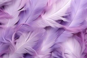 Purple Feathers Background, Purple Feathers Pattern, Feathers background, Feathers Wallpaper, bird feathers pattern, photo