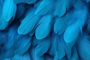 Blue Feathers Background, Blue Feathers Pattern, Feathers background, Feathers Wallpaper, bird feathers pattern, photo