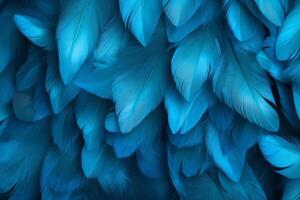 Blue Feathers Background, Blue Feathers Pattern, Feathers background, Feathers Wallpaper, bird feathers pattern, photo