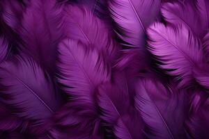 Purple Feathers Background, Purple Feathers Pattern, Feathers background, Feathers Wallpaper, bird feathers pattern, photo