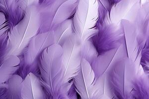 Purple Feathers Background, Purple Feathers Pattern, Feathers background, Feathers Wallpaper, bird feathers pattern, photo