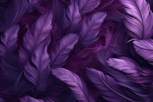 Purple Feathers Background, Purple Feathers Pattern, Feathers background, Feathers Wallpaper, bird feathers pattern, photo