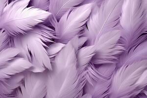 Purple Feathers Background, Purple Feathers Pattern, Feathers background, Feathers Wallpaper, bird feathers pattern, photo