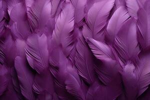 Purple Feathers Background, Purple Feathers Pattern, Feathers background, Feathers Wallpaper, bird feathers pattern, photo