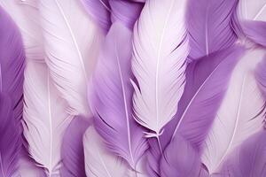 Purple Feathers Background, Purple Feathers Pattern, Feathers background, Feathers Wallpaper, bird feathers pattern, photo