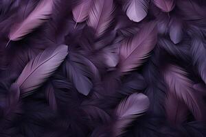 Purple Feathers Background, Purple Feathers Pattern, Feathers background, Feathers Wallpaper, bird feathers pattern, photo