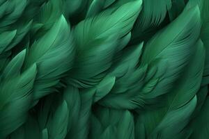 Green Feathers Background, Green Feathers Pattern, Feathers background, Feathers Wallpaper, bird feathers pattern, photo