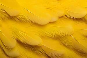 Yellow Feathers Background, Yellow feathers pattern, feathers background, feathers wallpaper, bird feathers pattern, photo