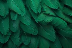 Green Feathers Background, Green Feathers Pattern, Feathers background, Feathers Wallpaper, bird feathers pattern, photo