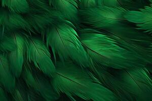 Green Feathers Background, Green Feathers Pattern, Feathers background, Feathers Wallpaper, bird feathers pattern, photo