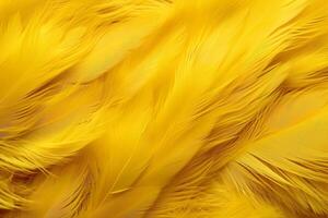 Yellow Feathers Background, Yellow feathers pattern, feathers background, feathers wallpaper, bird feathers pattern, photo