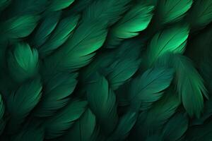 Green Feathers Background, Green Feathers Pattern, Feathers background, Feathers Wallpaper, bird feathers pattern, photo