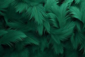 Green Feathers Background, Green Feathers Pattern, Feathers background, Feathers Wallpaper, bird feathers pattern, photo