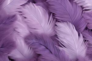 Purple Feathers Background, Purple Feathers Pattern, Feathers background, Feathers Wallpaper, bird feathers pattern, photo