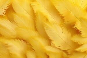 Yellow Feathers Background, Yellow feathers pattern, feathers background, feathers wallpaper, bird feathers pattern, photo