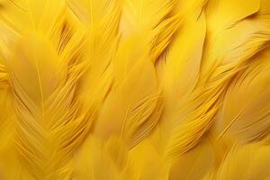 Yellow Feathers Background, Yellow feathers pattern, feathers background, feathers wallpaper, bird feathers pattern, photo