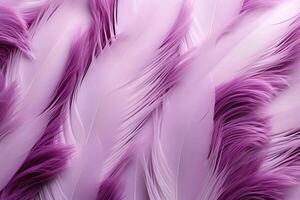 Purple Feathers Background, Purple Feathers Pattern, Feathers background, Feathers Wallpaper, bird feathers pattern, photo