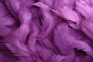 Purple Feathers Background, Purple Feathers Pattern, Feathers background, Feathers Wallpaper, bird feathers pattern, photo