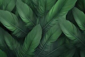 Green Feathers Background, Green Feathers Pattern, Feathers background, Feathers Wallpaper, bird feathers pattern, photo