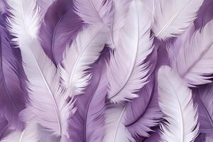 Purple Feathers Background, Purple Feathers Pattern, Feathers background, Feathers Wallpaper, bird feathers pattern, photo