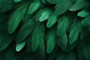 verde plumas fondo, verde plumas patrón, plumas fondo, plumas fondo de pantalla, pájaro plumas patrón, foto