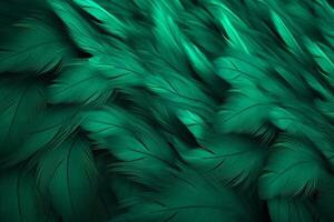 Green Feathers Background, Green Feathers Pattern, Feathers background, Feathers Wallpaper, bird feathers pattern, photo