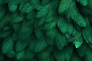 Green Feathers Background, Green Feathers Pattern, Feathers background, Feathers Wallpaper, bird feathers pattern, photo