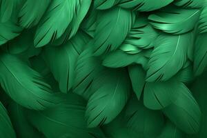 Green Feathers Background, Green Feathers Pattern, Feathers background, Feathers Wallpaper, bird feathers pattern, photo