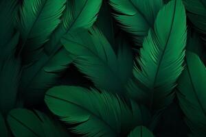 Green Feathers Background, Green Feathers Pattern, Feathers background, Feathers Wallpaper, bird feathers pattern, photo