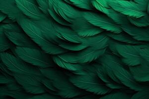 Green Feathers Background, Green Feathers Pattern, Feathers background, Feathers Wallpaper, bird feathers pattern, photo