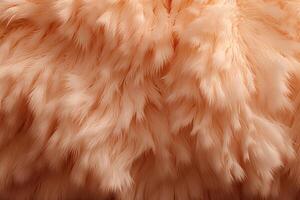 Buffalo Skin Fur Texture, Buffalo Fur Background, Fluffy Buffalo Skin Fur Texture, Animal Skin Fur Texture, Fur Background, Brown Fur Texture, Fluffy Fur Background, photo