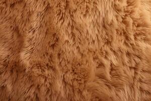 Bear Skin Fur Texture, Bear Fur Background, Fluffy Bear Skin Fur Texture, Animal Skin Fur Texture, Brown Fur Background, Brown Fur Texture, Fluffy Fur Texture, photo