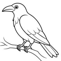 pájaro colorante libro página mano dibujar ilustración vector