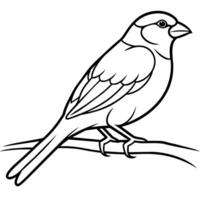 Bird Coloring book page hand draw illustration vector