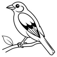 Bird Coloring book page hand draw illustration vector