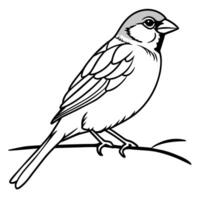 Bird Coloring book page hand draw illustration vector