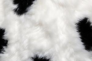 Panda Skin Fur Texture, Panda Fur Background, Fluffy Panda Skin Fur Texture, Animal Skin Fur Texture, Fur Background, White Fur Texture, photo