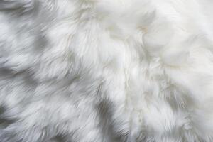 Panda Skin Fur Texture, Panda Fur Background, Fluffy Panda Skin Fur Texture, Animal Skin Fur Texture, Fur Background, White Fur Texture, photo