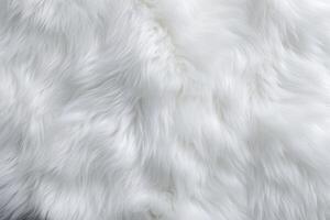 Panda Skin Fur Texture, Panda Fur Background, Fluffy Panda Skin Fur Texture, Animal Skin Fur Texture, Fur Background, White Fur Texture, photo