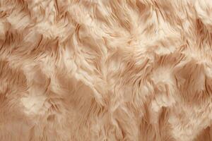 Cow Skin Fur Texture, Cow Fur Background, Fluffy Cow Skin Fur Texture, Animal Skin Fur Texture, Brown Fur Background, Brown Fur Texture, Fluffy Fur Texture, photo