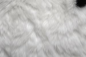 Panda Skin Fur Texture, Panda Fur Background, Fluffy Panda Skin Fur Texture, Animal Skin Fur Texture, Fur Background, White Fur Texture, photo