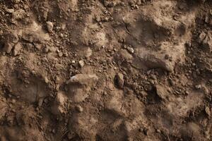 Soil Texture, Soil Texture Background, Soil dirt texture, ground surface Texture, Rustic Soil Texture, land brown soil texture, Fertile soil texture background, photo