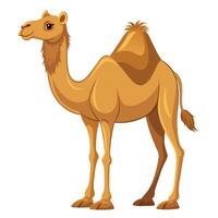 Camel On desert flat style 2d illustration vector