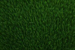 Green Grass Texture, Grass Background, Grass Texture Wallpaper, Top View Green Grass Texture, photo