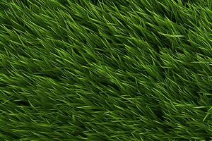 Green Grass Texture, Grass Background, Grass Texture Wallpaper, Top View Green Grass Texture, photo
