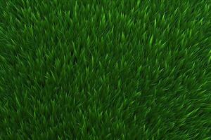 Green Grass Texture, Grass Background, Grass Texture Wallpaper, Top View Green Grass Texture, photo