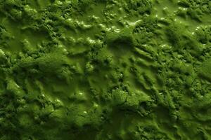 verde musgo textura, musgo fondo, musgo textura fondo de pantalla, parte superior ver verde musgo textura, foto