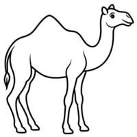 Camel On desert flat style 2d illustration vector