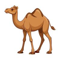 Camel On desert flat style 2d illustration vector