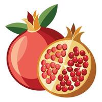 Pomegranate fruit illustration vector